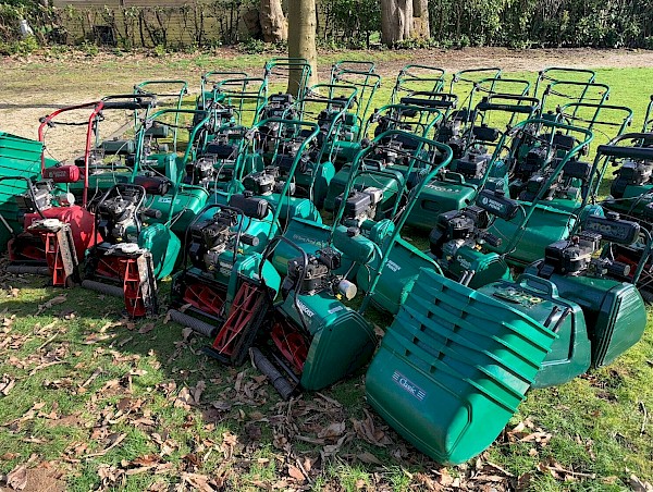 Huge range of petrol mowers