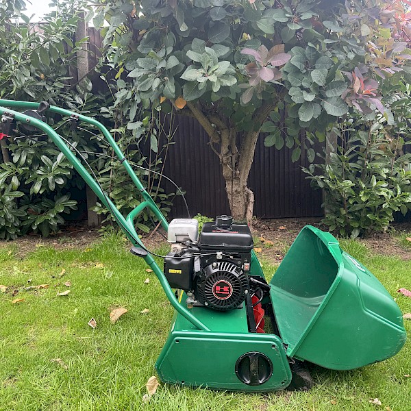 Suffolk Punch 17SK Gallery Image