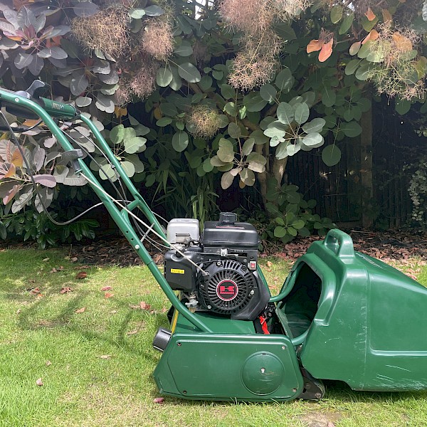 ATCO Balmoral 14sk Cylinder Lawn Mower Gallery Image