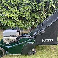 Hayter Harrier 41 Push Petrol Lawn Mower Gallery Image Thumbnail