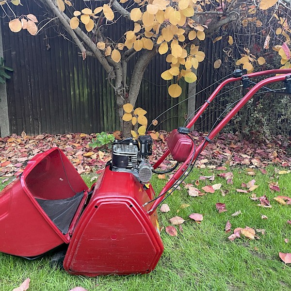 Suffolk Punch 17s petrol cylinder mower Gallery Image