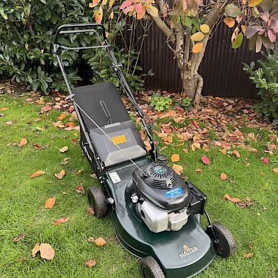 Hayter Motif 48 Main Image