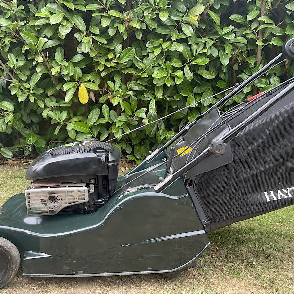 Hayter Harrier 48 with blade clutch Gallery Image
